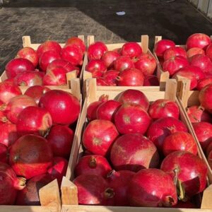 Cassetta di melograno da 10 Kg