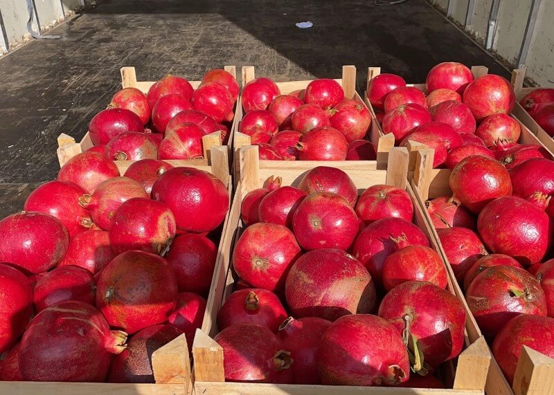 Cassetta di melograno da 10 Kg