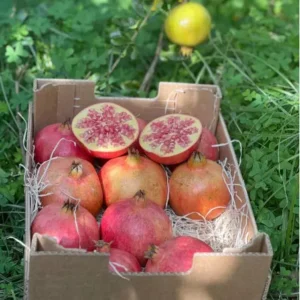 Cassetta di melograno da 5 Kg